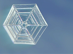 20190924185079.gif 微信图片_20190605165551.gif