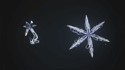20190924751851.gif 微信图片_20190924121659.gif