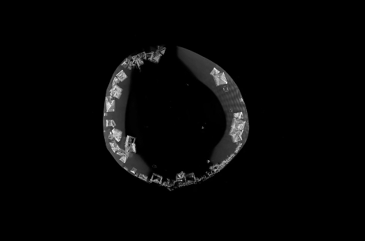 20190925129043.gif 微信图片_2019060516551.gif