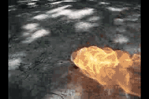 微信图片_20190926093218.gif