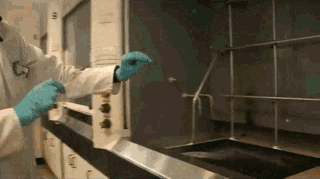 微信图片_20190926093144.gif