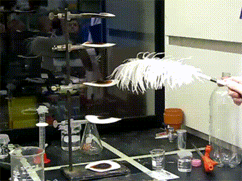 微信图片_20190926093207.gif