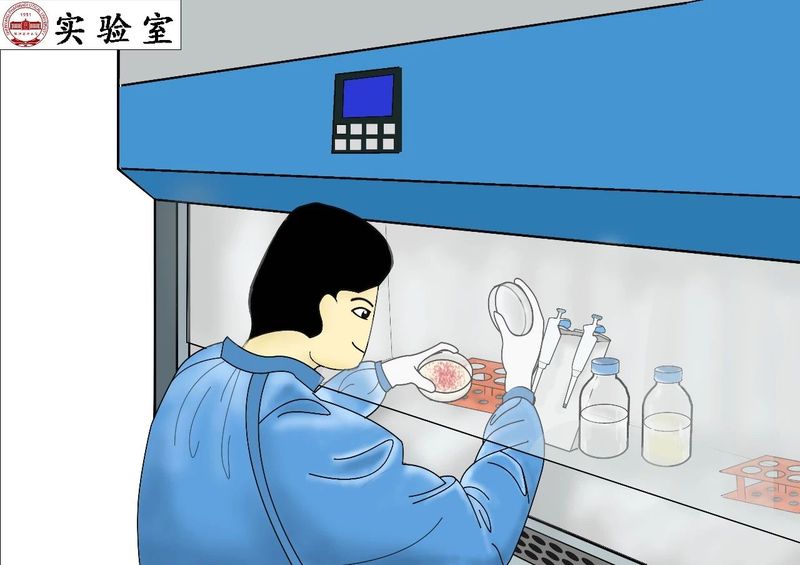 1588839043.jpg 微信图片_20200507160722.jpg