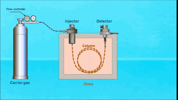 1599546885.gif 1599546885.gif