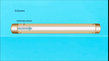 1599546944.gif 1599546944.gif