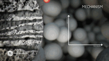 1599547029.gif 1599547029.gif
