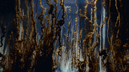 微信图片_20201016140412.gif