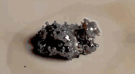 微信图片_20201016140452.gif