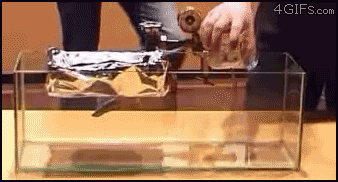 微信图片_20201016140546.gif