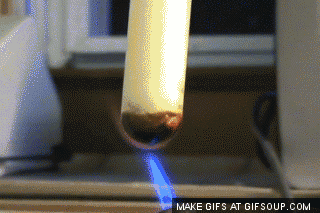 微信图片_20201016140655.gif