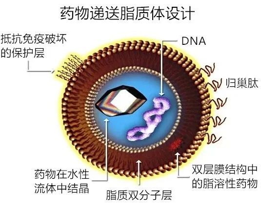 1691979811.jpg 微信图片_20230814101921.jpg