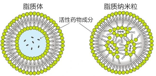 1691979845.jpg 微信图片_20230814101921_1.jpg
