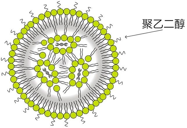 1691979869.jpg 微信图片_20230814101921_2.jpg
