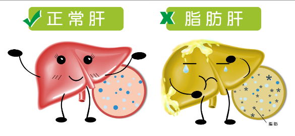 1757920315.png 微信图片_2025-09-15_150642_213.png